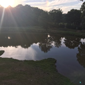 Treehouse Vineyards - View from Papa's dream - Venues & Event Spaces Near Me - Monroe, North Carolina