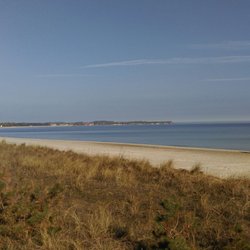 Hundestrand