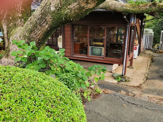 Nokonoshima Island by null