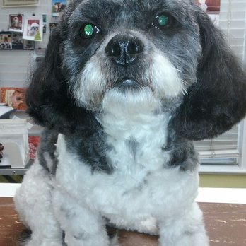 Karen's Pet Stop - Pet Groomers Near Me - Lebanon, Pennsylvania