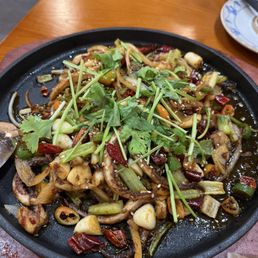 Iron Plate Squid Tentacle