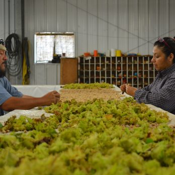 McKay Nursery - Our employees are dedicated and hard working to make sure you get a top-of-the-line product. - Landscaping Near Me - Waterloo, Wisconsin