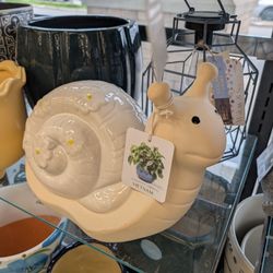 HomeSense - Snail