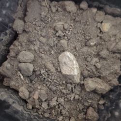 Schnell's Services - Topsoil/compost