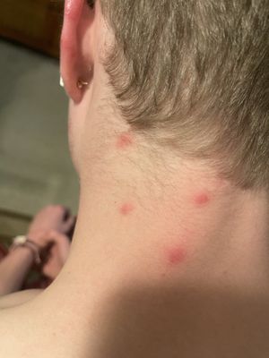 Kiahuna Plantation Resort Kauai by OUTRIGGER by null