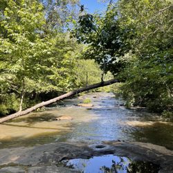 Line Creek Nature Area