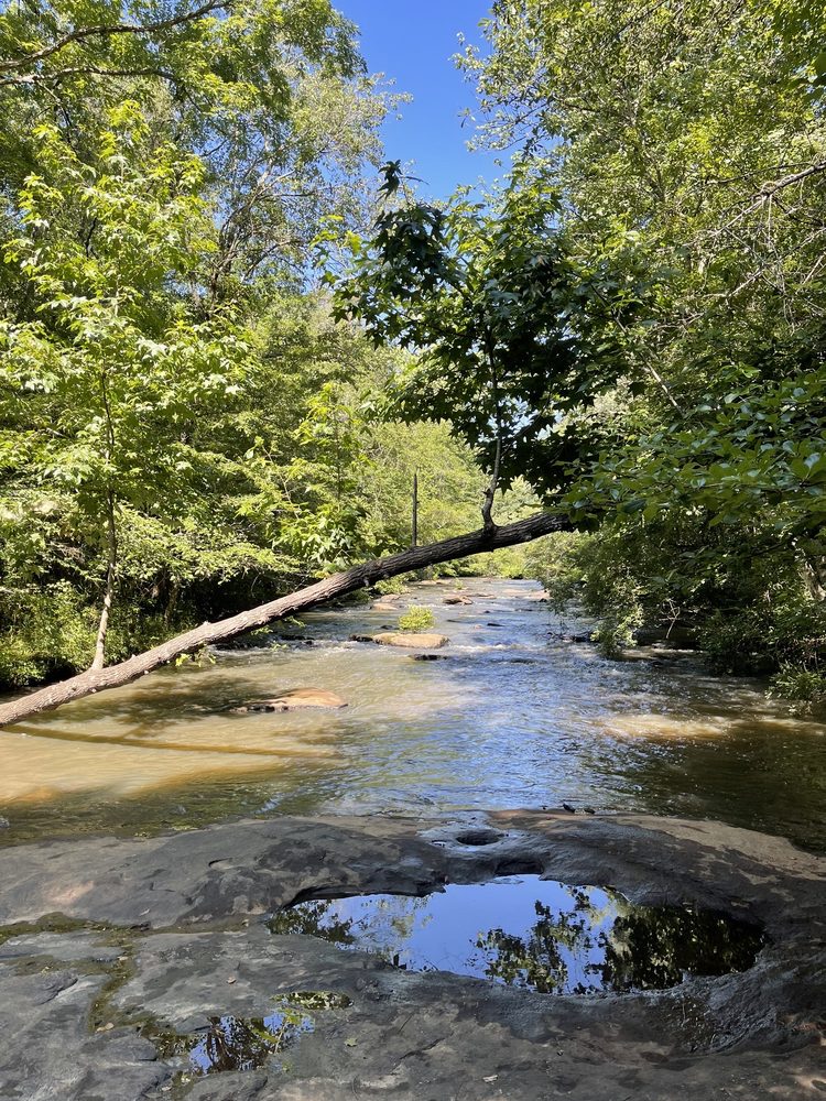 Line Creek Nature Area Logo