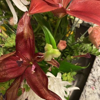 Roseland Flower & Nursery - Florists Near Me - Pearland, Texas