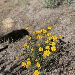 Bluff Lake Reserve