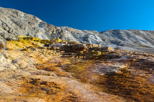 Mammoth Hot Springs by null