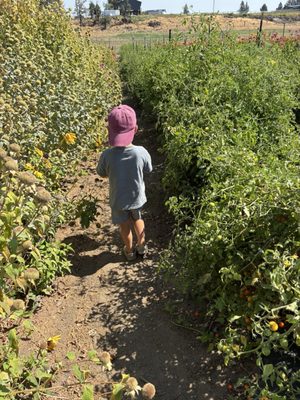 Well Rooted Farms by null