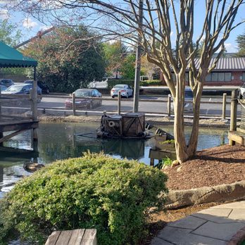 Pirate's Cove - Mini Golf Near Me - Duluth, Georgia