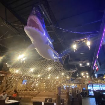 Red Hook Seafood - a shark hanging from the ceiling - Cajun/Creole Near Me - San Antonio, Texas Red Hook Seafood - a shark hanging from the ceiling - Cajun/Creole Near Me - San Antonio, Texas