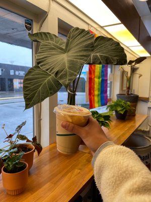 Moonshot Coffee by null