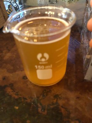 Buzz Bomb Brewing Co by null