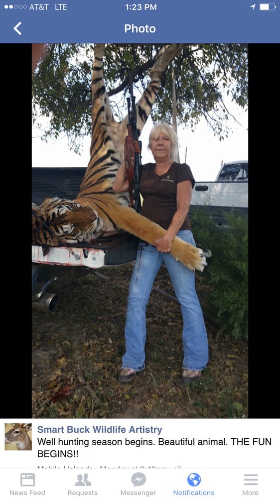 Smart Buck Wildlife Artistry - taxidermy in Campbell, TX