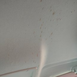 Food stains on headliner Food stains on headliner