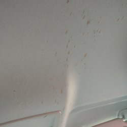Hertz Rent A Car - Food stains on headliner