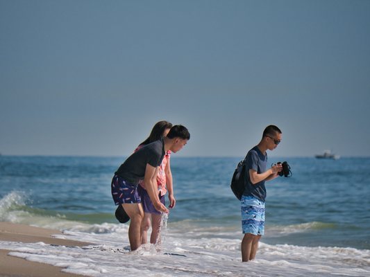 Island Beach State Park by null