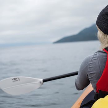 Wildcoast Adventures - Kayaking in Johnstone Strait - Rafting/Kayaking Near Me - Quathiaski Cove, British Columbia Wildcoast Adventures - Kayaking in Johnstone Strait - Rafting/Kayaking Near Me - Quathiaski Cove, British Columbia