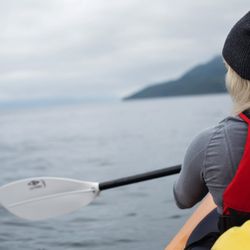 Wildcoast Adventures - Kayaking in Johnstone Strait