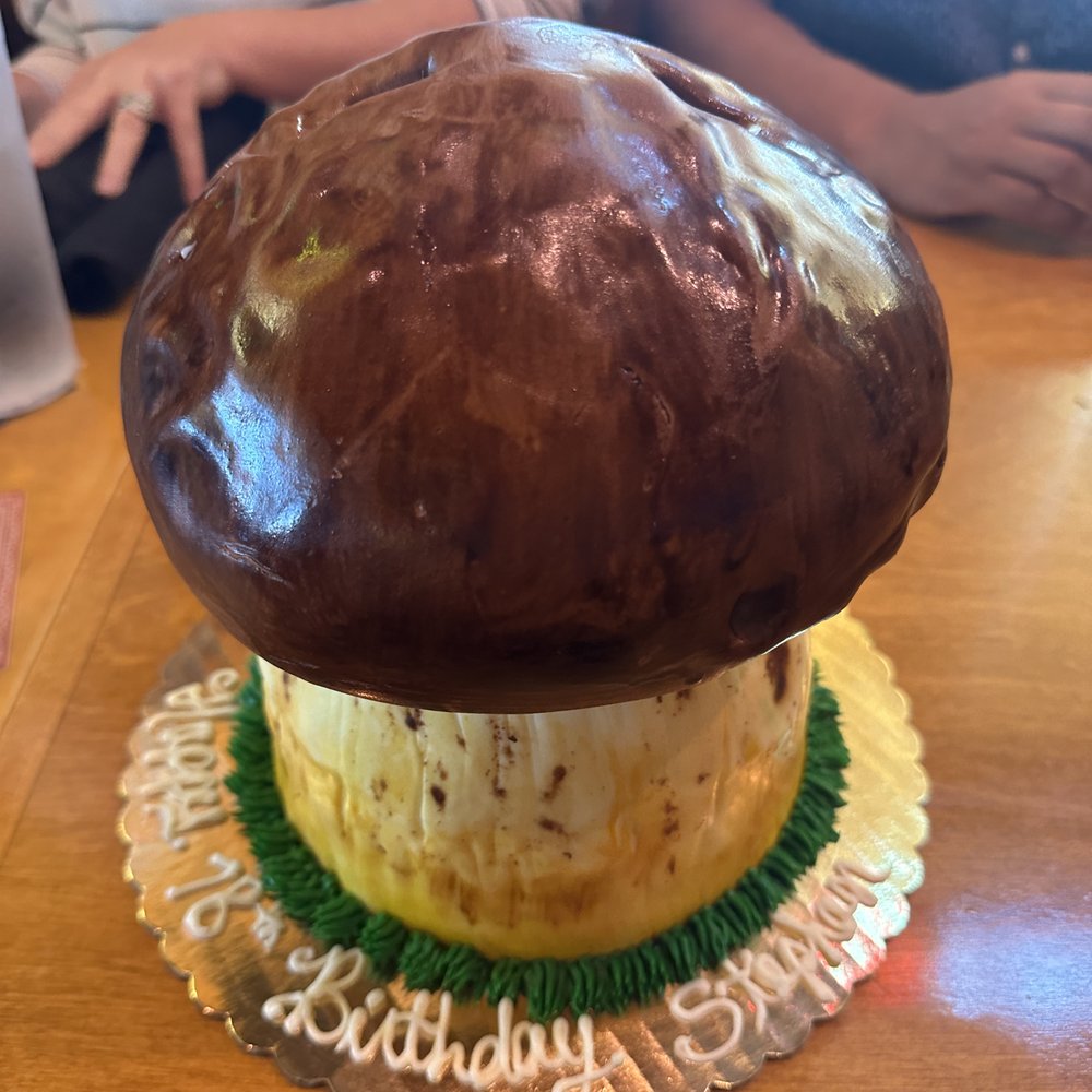 Cakes by Stiggy - Cake shaped like a mushroom! - Custom Cakes Near Me
