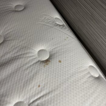 Clarion Pointe - Blood stains on mattress - Hotels Near Me - Sylva, North Carolina Clarion Pointe - Blood stains on mattress - Hotels Near Me - Sylva, North Carolina