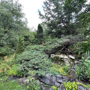 Halton County Radial Railway - Frog Pond! Lots of mosquitos. - Museums Near Me - Milton, Ontario Halton County Radial Railway - Frog Pond! Lots of mosquitos. - Museums Near Me - Milton, Ontario