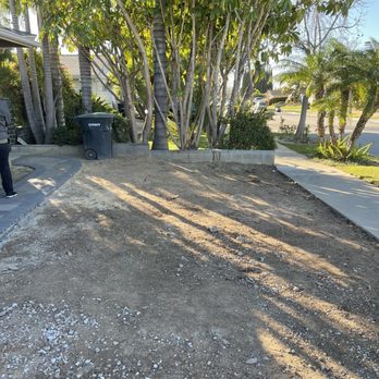 Environmental Green Tree Care - After the removal - Tree Services Near Me