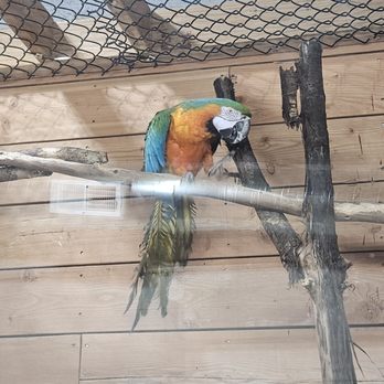 Idaho Reptile Zoo - Zoos Near Me - Boise, Idaho Idaho Reptile Zoo - Zoos Near Me - Boise, Idaho