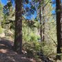 Truckee River Bike Trail