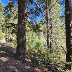 Truckee River Bike Trail