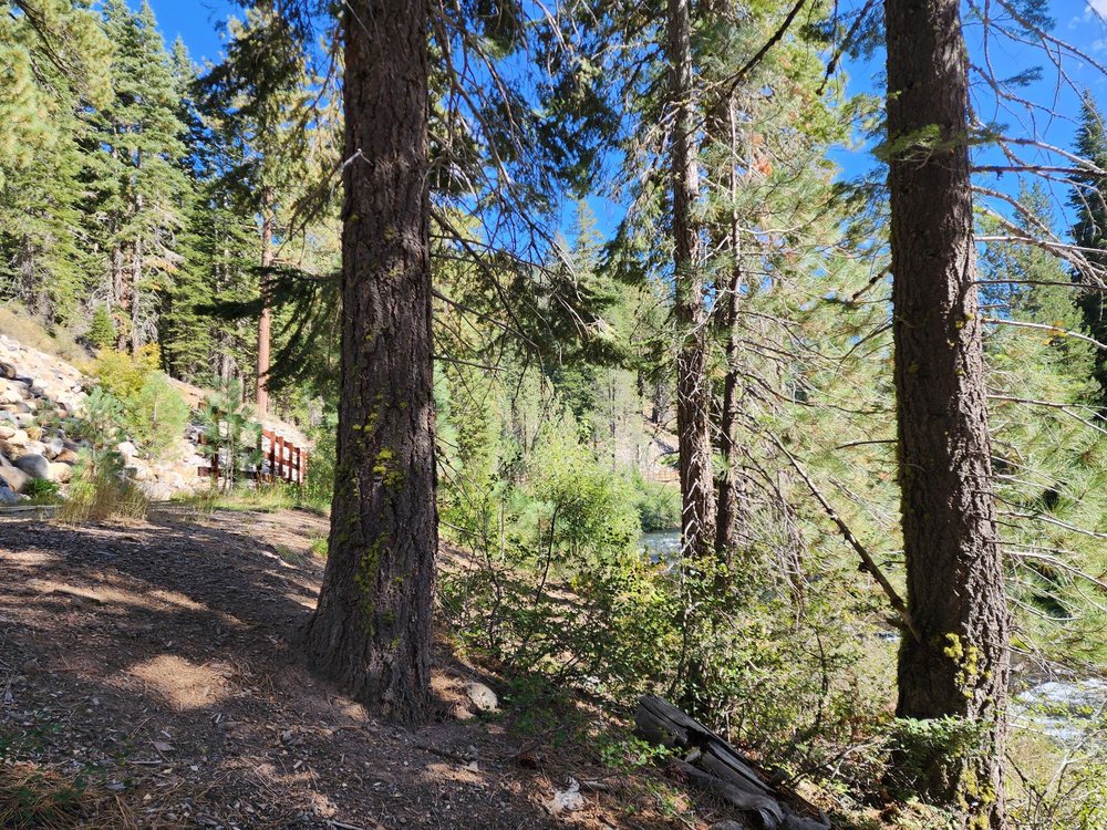 Truckee River Bike Trail Logo