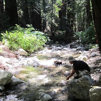 Bay Area Expeditions - Mills Creek - Tours Near Me Bay Area Expeditions - Mills Creek - Tours Near Me