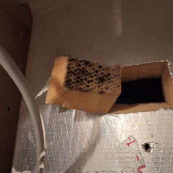 Superior Heating and Air - Original company showed me what looked like mold in my heating ducts! - Heating & Air Conditioning/HVAC Near Me - Gulf Breeze, Florida