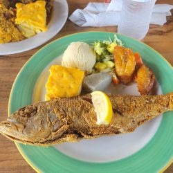Petite Pump Room - Fried snapper with gravy on the side