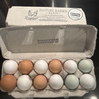 Campbell Valley Farmstead - Beautiful eggs. - Specialty Food Near Me Campbell Valley Farmstead - Beautiful eggs. - Specialty Food Near Me