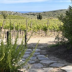 Château l'Hospitalet - View from the outdoor patio off our room. Mediterranean Sea in the background.