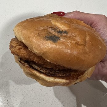 Jack in the Box - Mold on my cluck sandwich - Fast Food Near Me - Scottsdale, Arizona Jack in the Box - Mold on my cluck sandwich - Fast Food Near Me - Scottsdale, Arizona