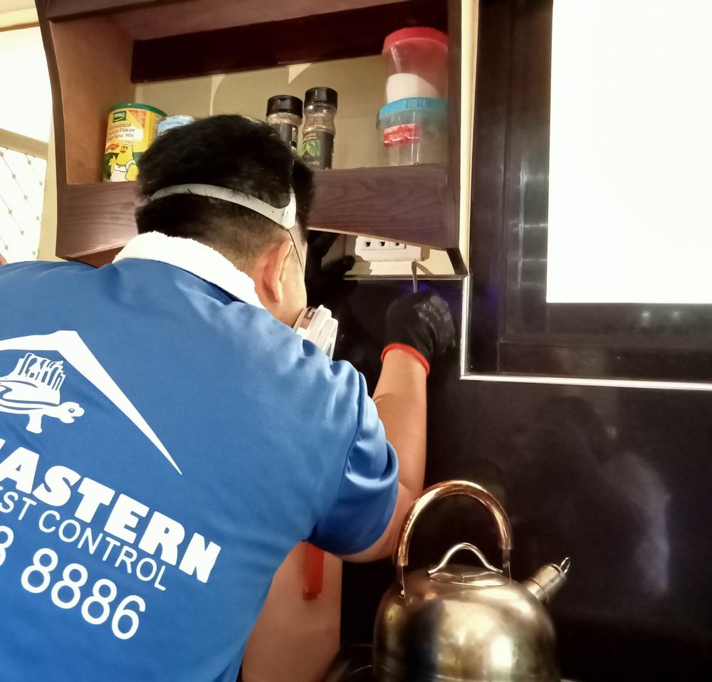 GREAT EASTERN TERMITE & PEST CONTROL SERVICES Request a Quote 49