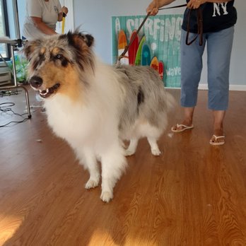 Ruff Waters Dog Wash - Pet Groomers Near Me - Middletown, Rhode Island