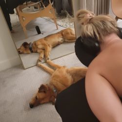 Massage Artistry