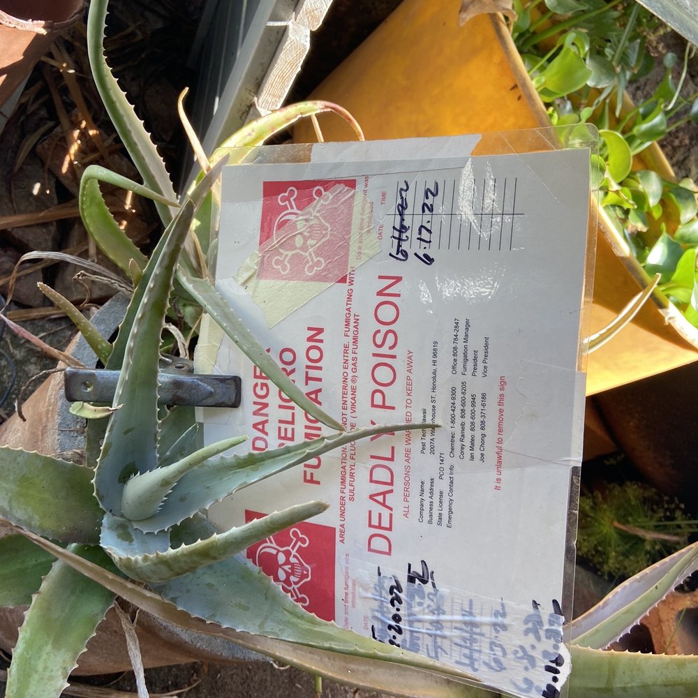 Pest Tech Hawaii - Poison sign thrown into my plant - Pest Control Near Me - Honolulu, Hawaii Pest Tech Hawaii - Poison sign thrown into my plant - Pest Control Near Me - Honolulu, Hawaii