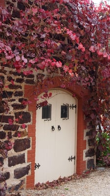 Langmeil Winery - Home of Barossa Valley's Oldest Shiraz Vineyard by null