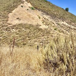 El Toro Mountain - Good morning.