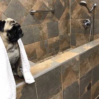 Pet Valu - New shower heads at the wash stations - Pet Groomers Near Me - Toronto, Ontario
