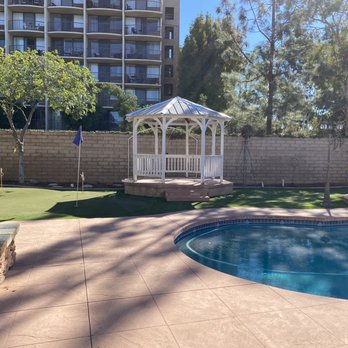 tree service - And After - Tree Services Near Me tree service - And After - Tree Services Near Me