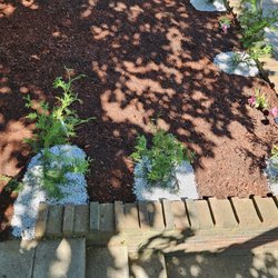 Horticulture Masterpiece