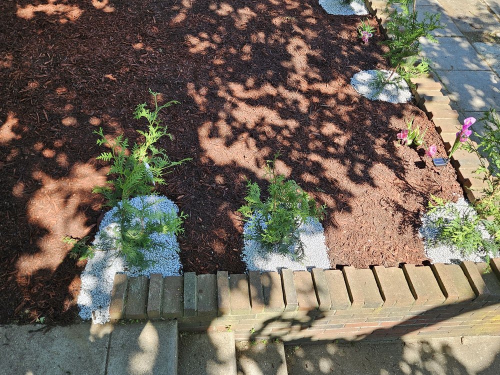 Horticulture Masterpiece - tree service in Philadelphia, PA