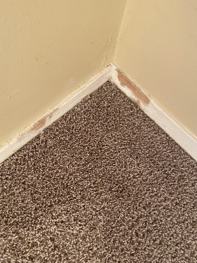 ORANGE PROPERTY MANAGEMENT Updated August 2024 21 Photos 503 S